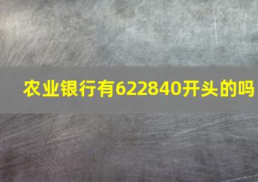 农业银行有622840开头的吗