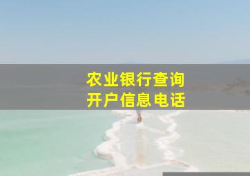 农业银行查询开户信息电话