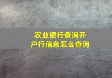 农业银行查询开户行信息怎么查询