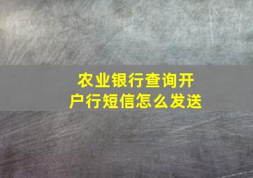 农业银行查询开户行短信怎么发送