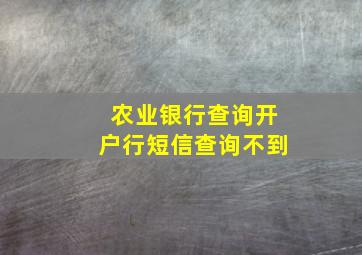 农业银行查询开户行短信查询不到