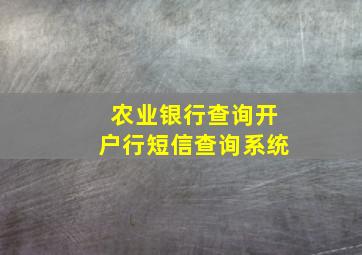 农业银行查询开户行短信查询系统