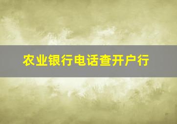 农业银行电话查开户行