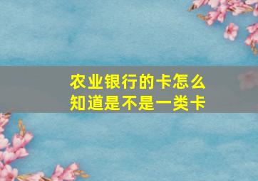 农业银行的卡怎么知道是不是一类卡