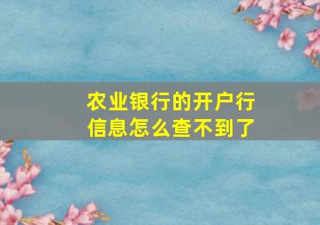 农业银行的开户行信息怎么查不到了