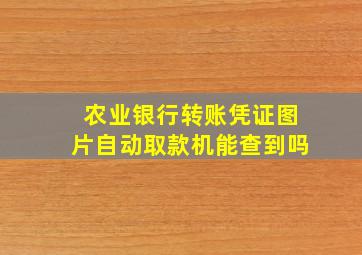 农业银行转账凭证图片自动取款机能查到吗