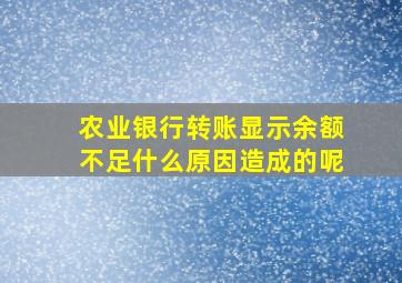 农业银行转账显示余额不足什么原因造成的呢