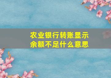 农业银行转账显示余额不足什么意思