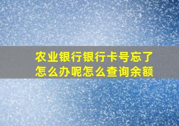 农业银行银行卡号忘了怎么办呢怎么查询余额