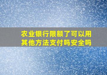 农业银行限额了可以用其他方法支付吗安全吗