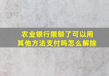 农业银行限额了可以用其他方法支付吗怎么解除