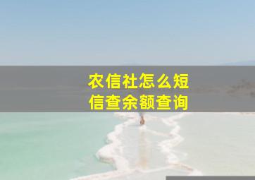 农信社怎么短信查余额查询