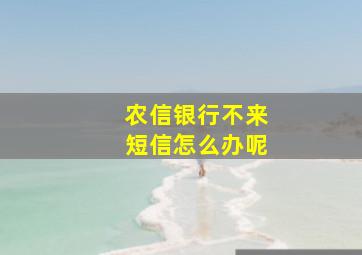 农信银行不来短信怎么办呢