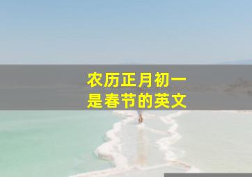 农历正月初一是春节的英文