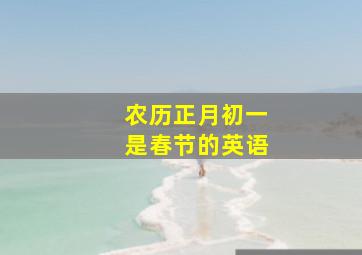 农历正月初一是春节的英语