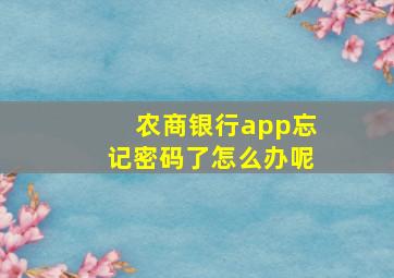 农商银行app忘记密码了怎么办呢