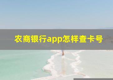 农商银行app怎样查卡号