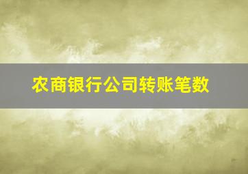 农商银行公司转账笔数