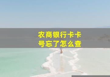 农商银行卡卡号忘了怎么查