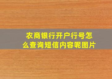 农商银行开户行号怎么查询短信内容呢图片