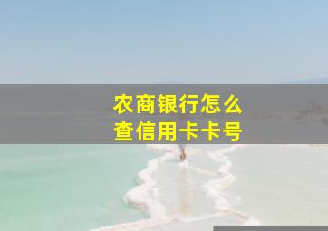 农商银行怎么查信用卡卡号