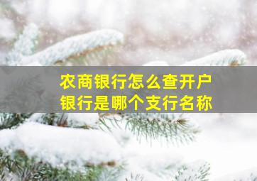 农商银行怎么查开户银行是哪个支行名称