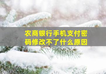 农商银行手机支付密码修改不了什么原因