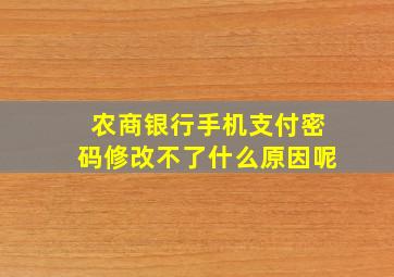 农商银行手机支付密码修改不了什么原因呢