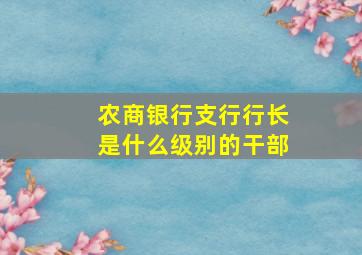 农商银行支行行长是什么级别的干部