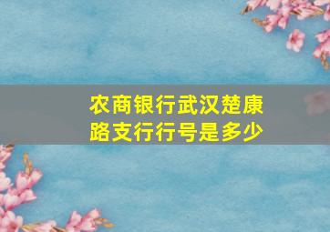 农商银行武汉楚康路支行行号是多少