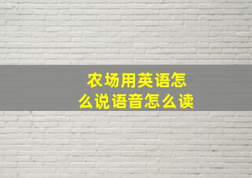 农场用英语怎么说语音怎么读