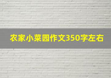 农家小菜园作文350字左右