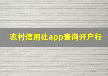 农村信用社app查询开户行