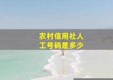 农村信用社人工号码是多少