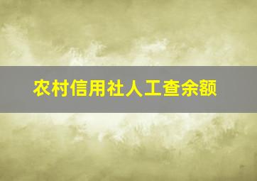 农村信用社人工查余额