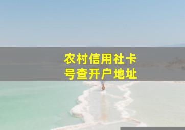 农村信用社卡号查开户地址