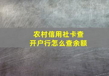 农村信用社卡查开户行怎么查余额