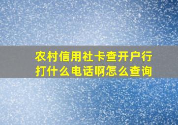 农村信用社卡查开户行打什么电话啊怎么查询