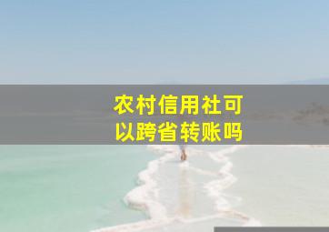 农村信用社可以跨省转账吗