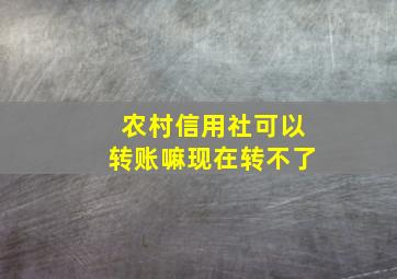 农村信用社可以转账嘛现在转不了