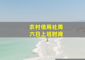 农村信用社周六日上班时间