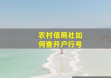 农村信用社如何查开户行号