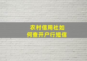 农村信用社如何查开户行短信