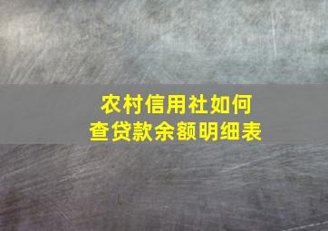 农村信用社如何查贷款余额明细表