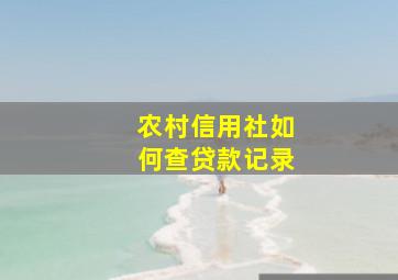 农村信用社如何查贷款记录