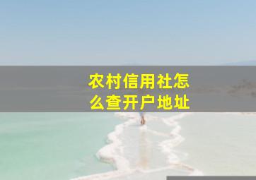 农村信用社怎么查开户地址