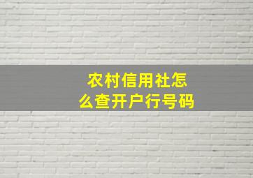 农村信用社怎么查开户行号码