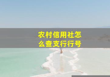 农村信用社怎么查支行行号