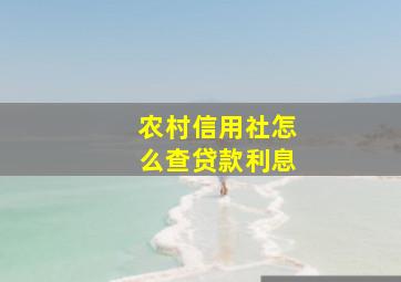 农村信用社怎么查贷款利息