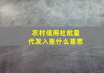 农村信用社批量代发入账什么意思